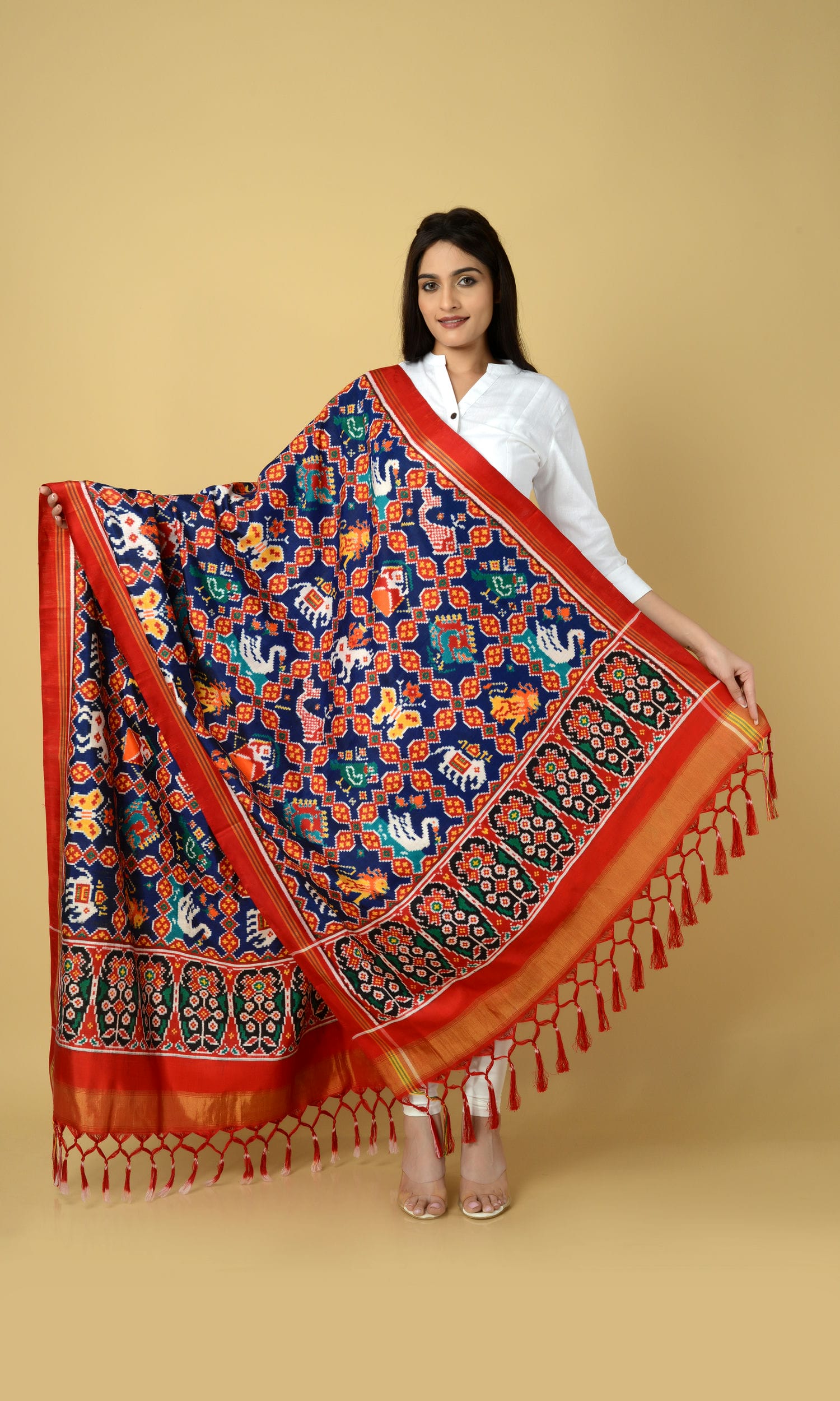 Double Ikat Patola 9 Motif Dupatta