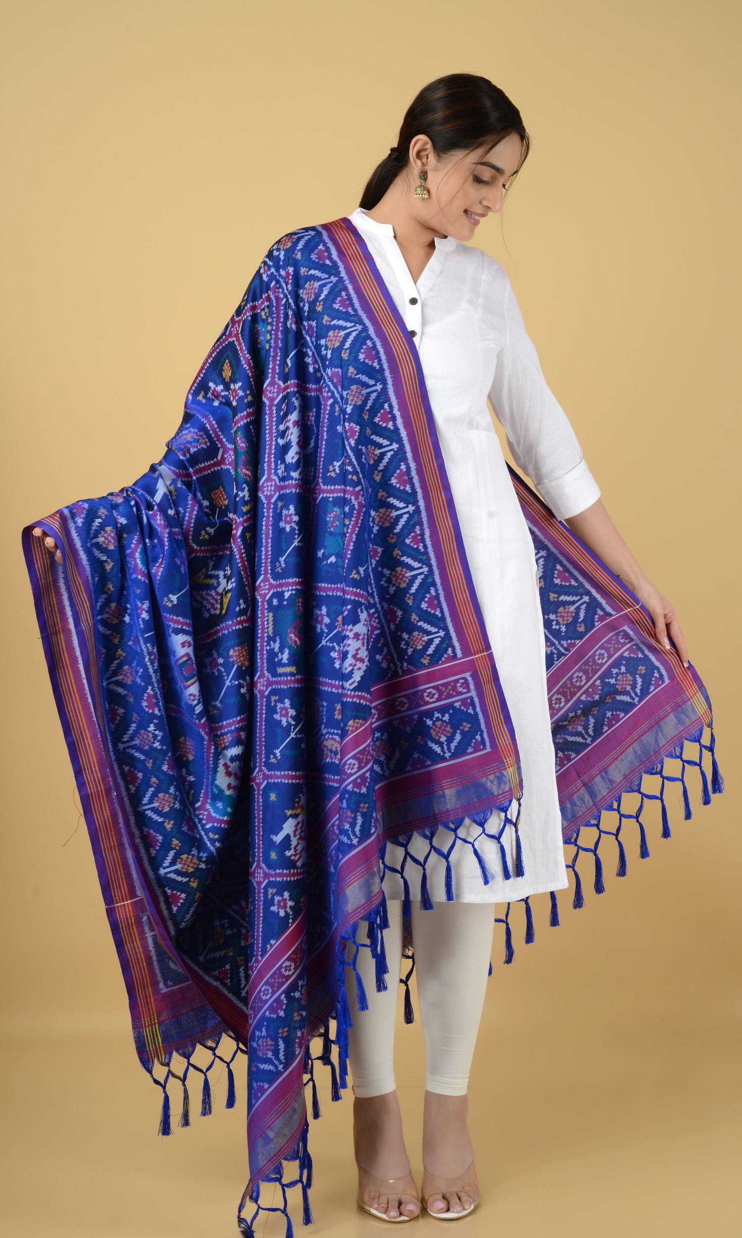 Single Ikat Patola Dupatta 9 Motifs