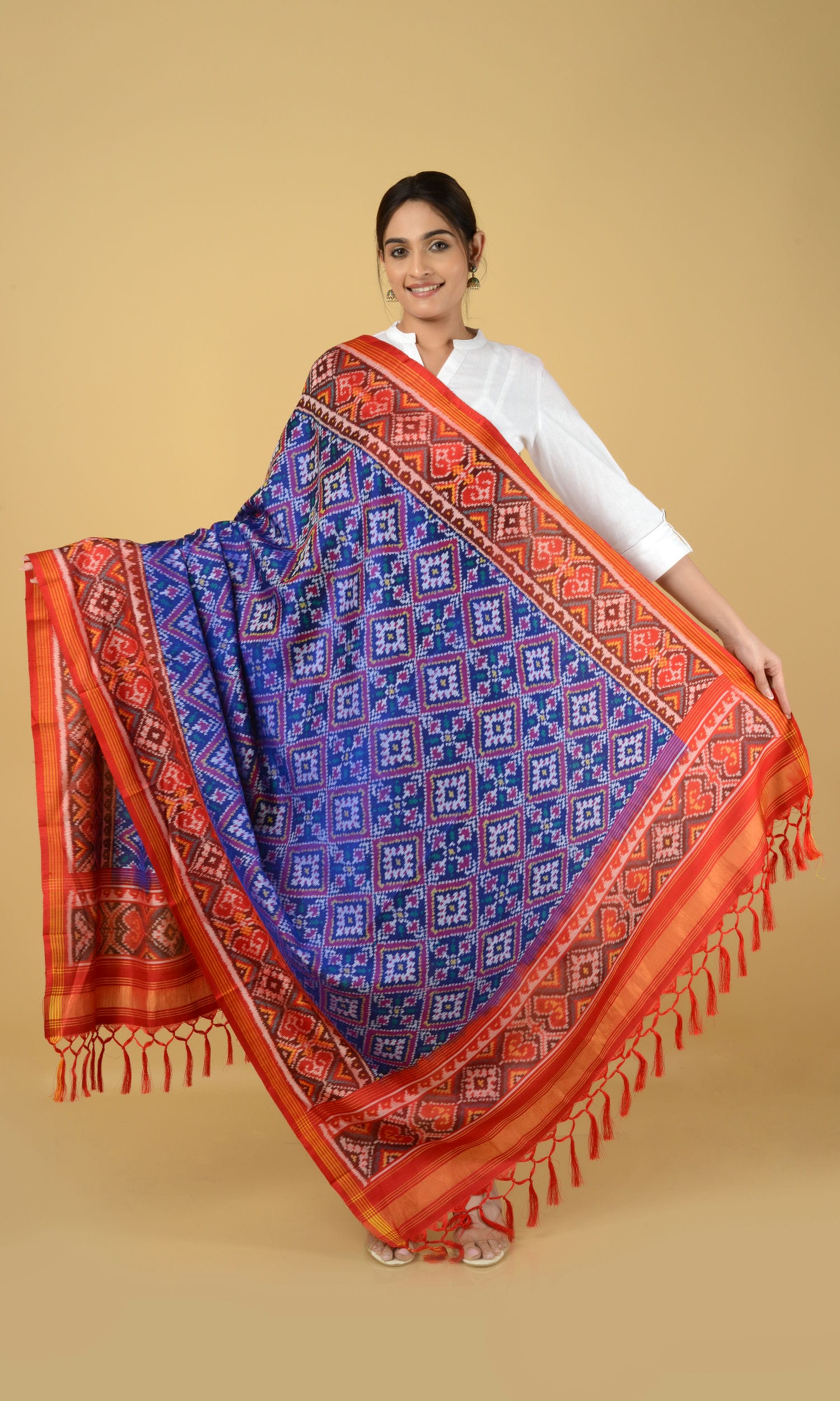 Single Ikat Patola Dupatta Chanda
