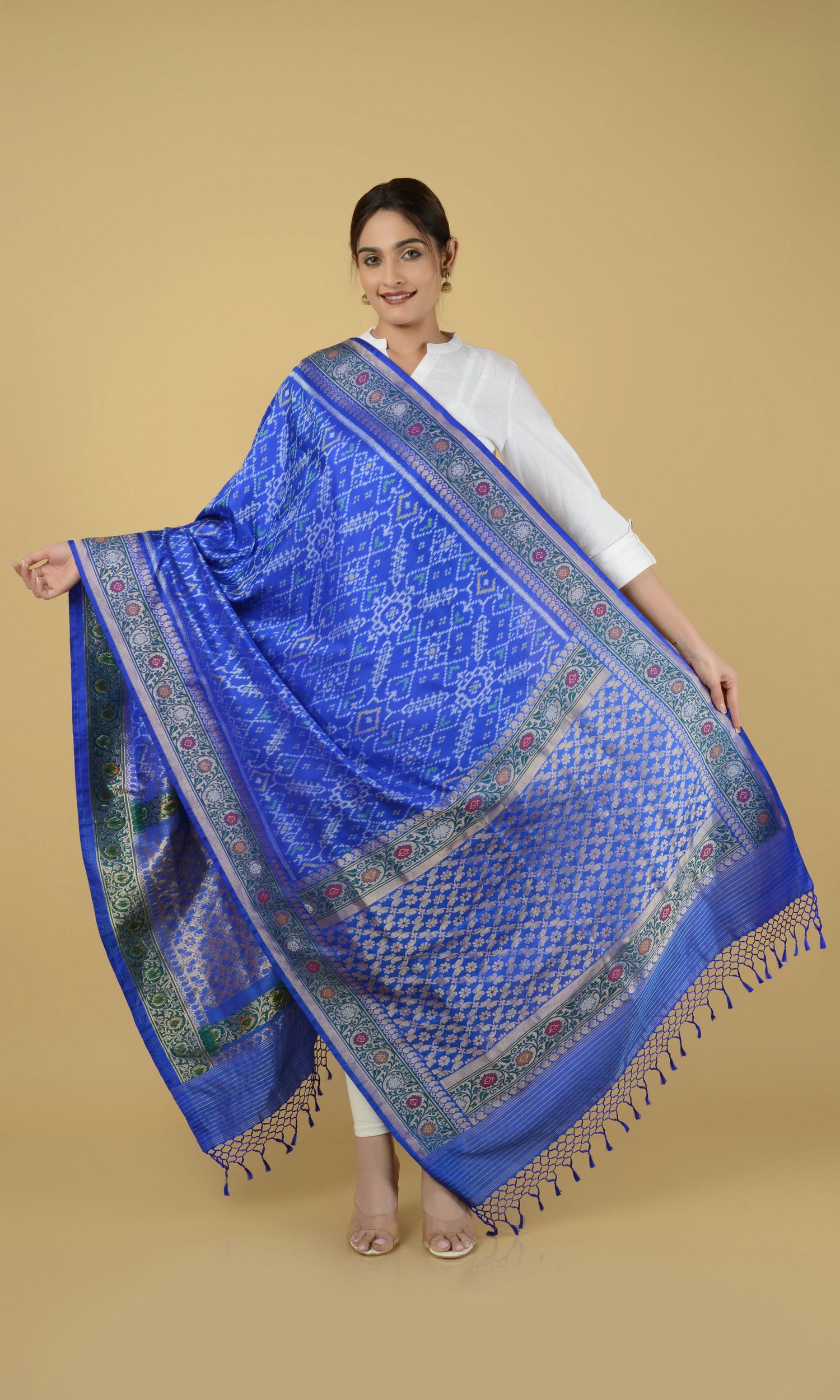Banarasi Single Ikat Patola Dupatta Manekchowk