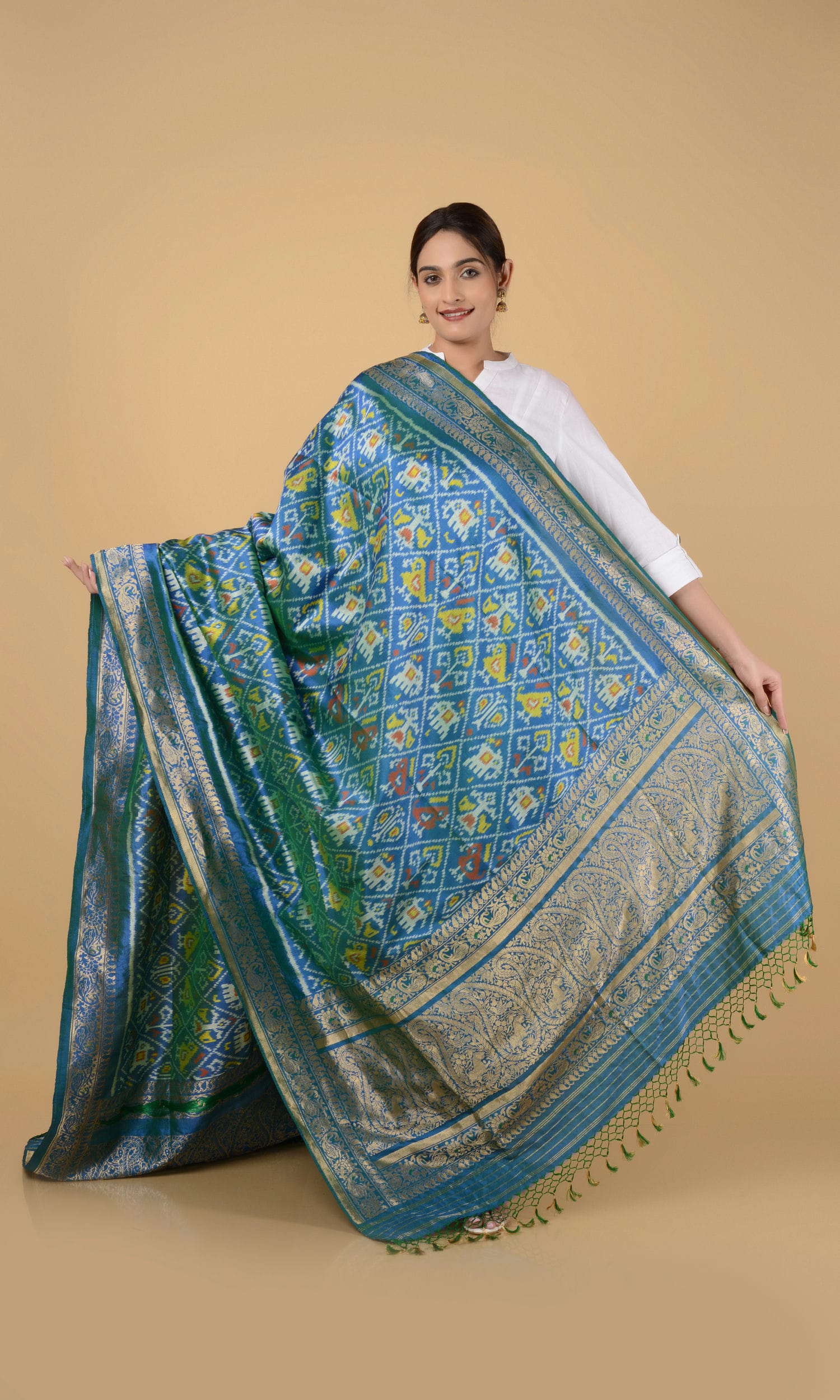 Banarasi Single Ikat Patola Dupatta Nari Kunj
