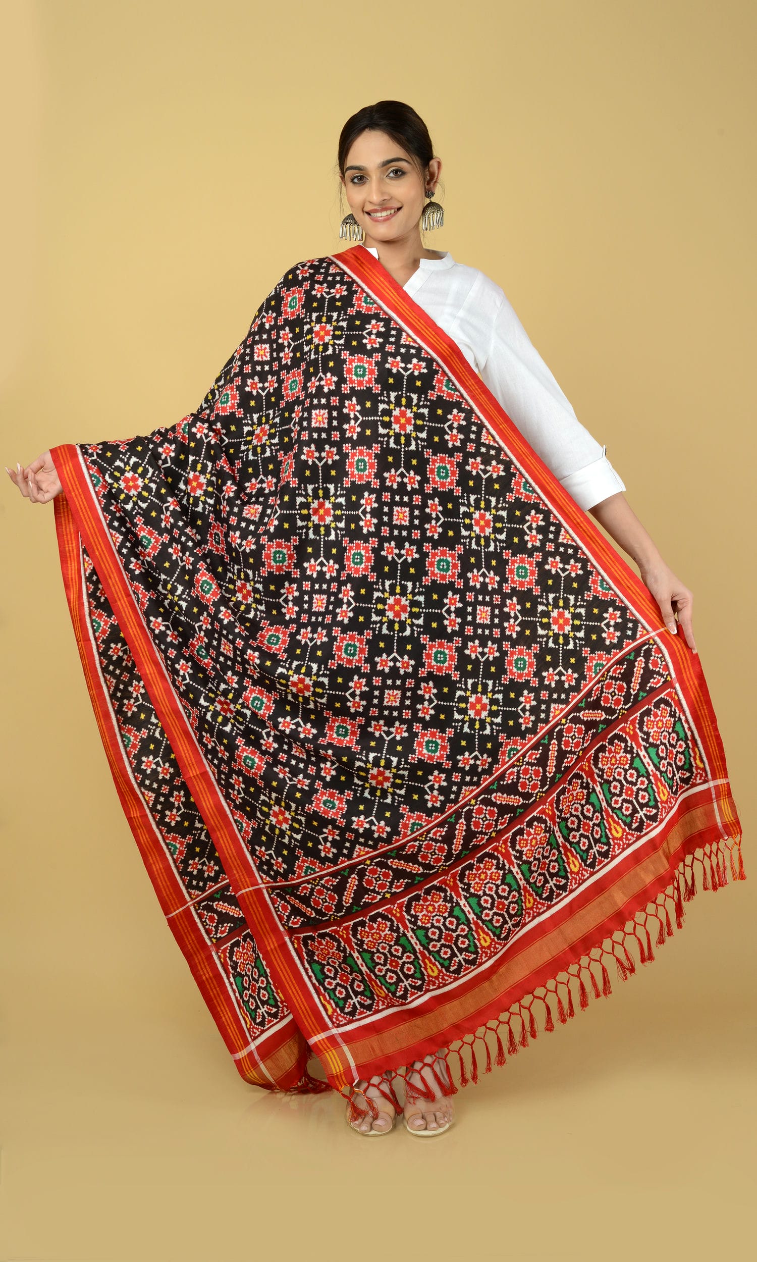 Double Ikat Patola Dupatta Nau Ratan