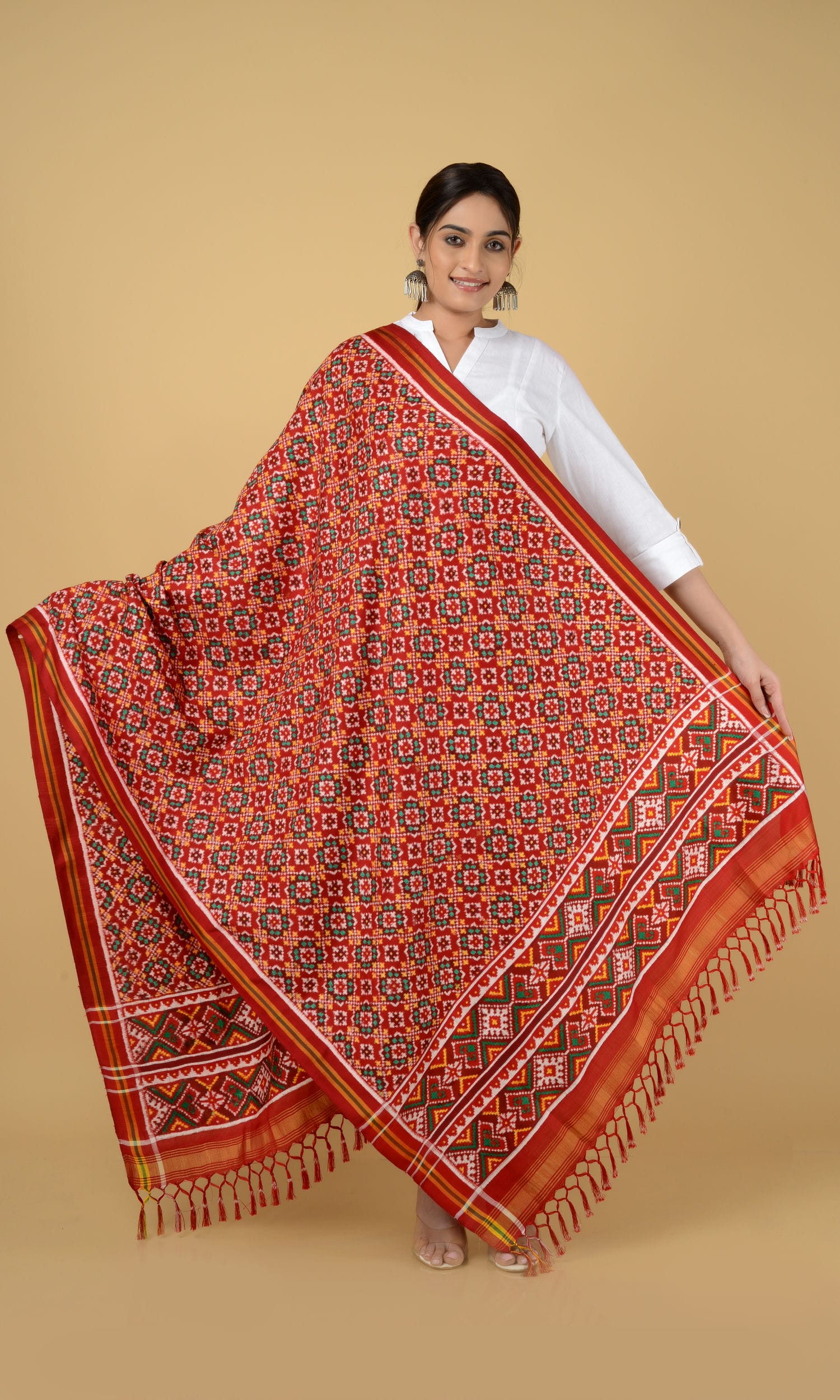 Double Ikat Patola Dupatta Chanda