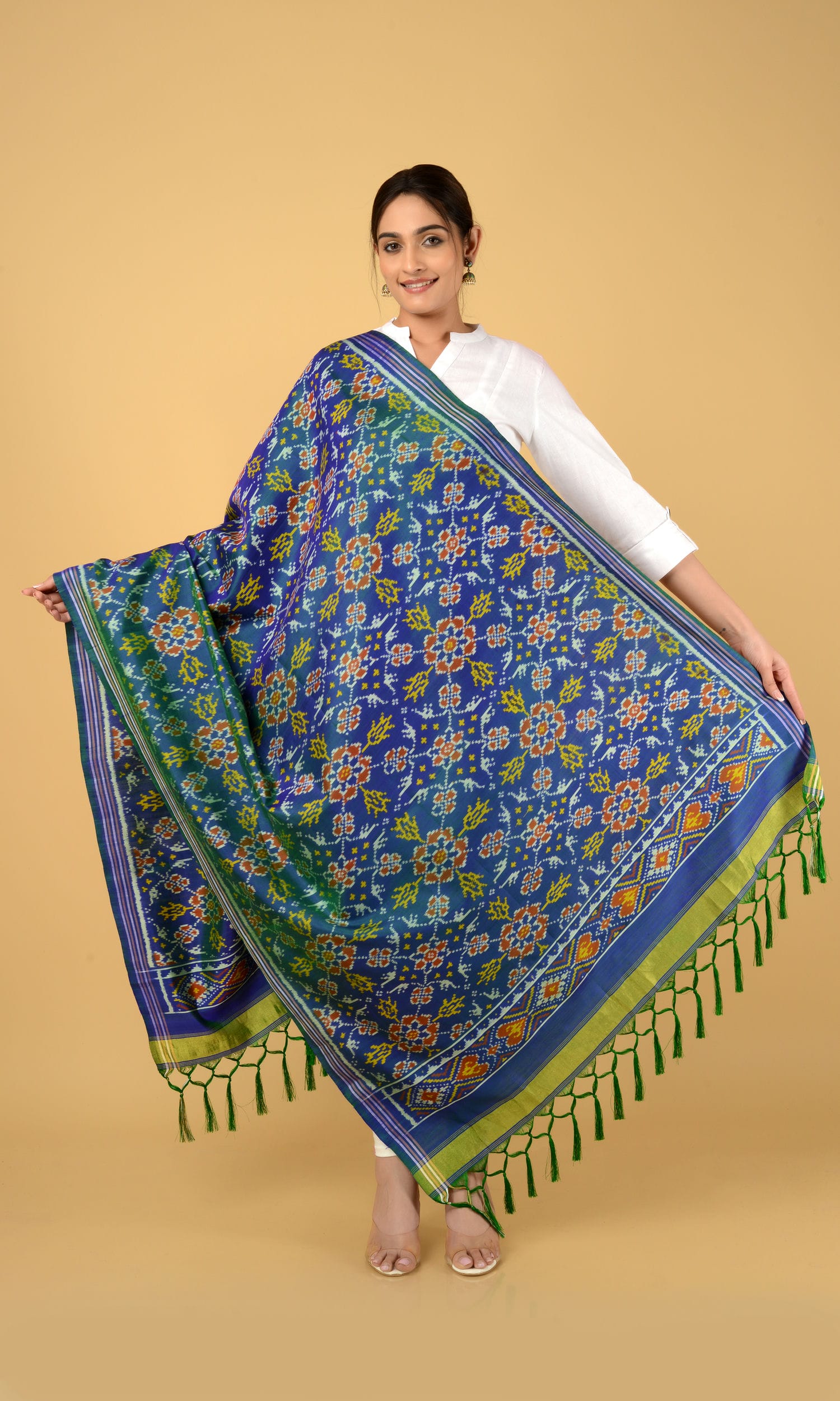 Single Ikat Patola Dupatta Chhabdi