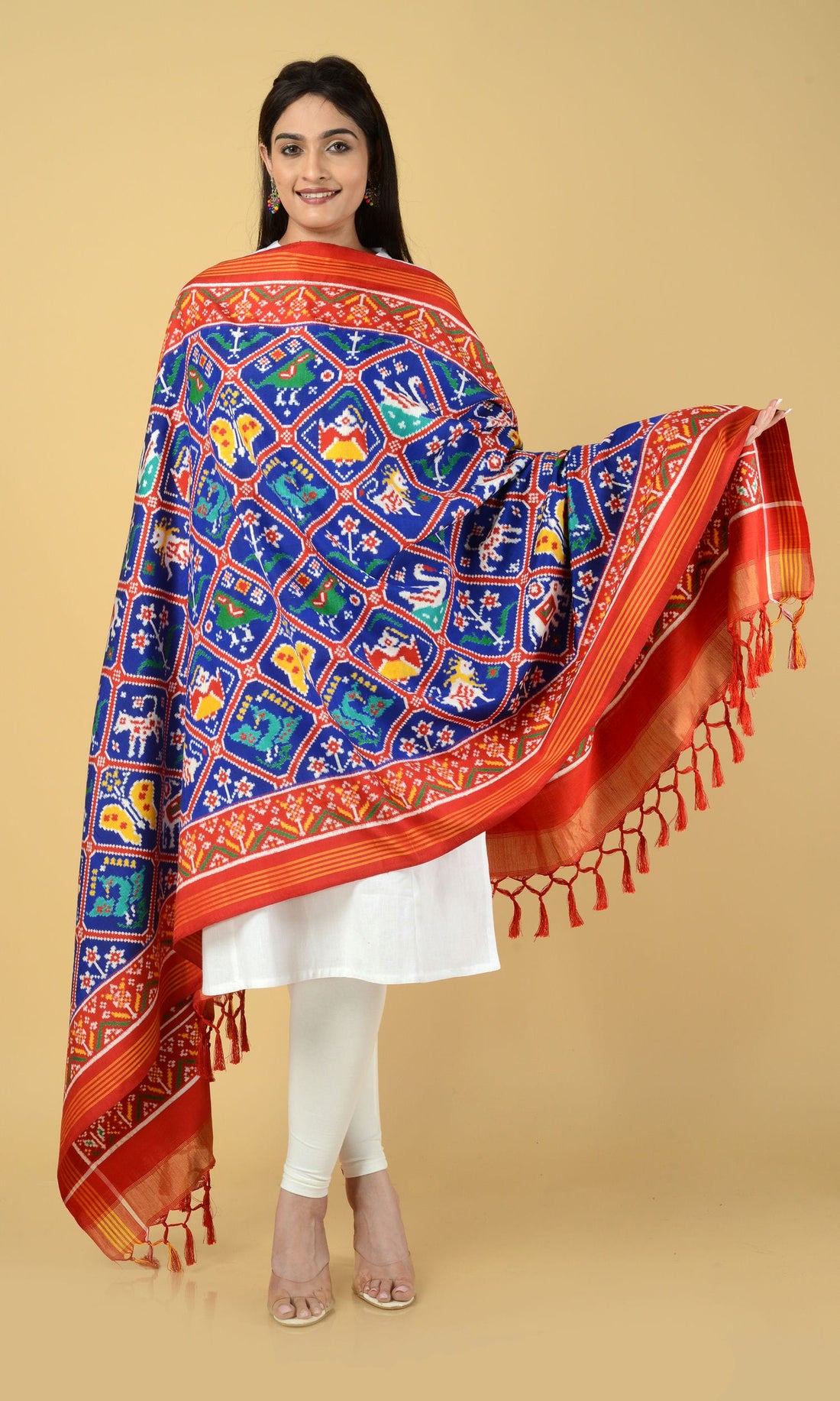 Double Ikat Patola Dupatta 9 Motifs