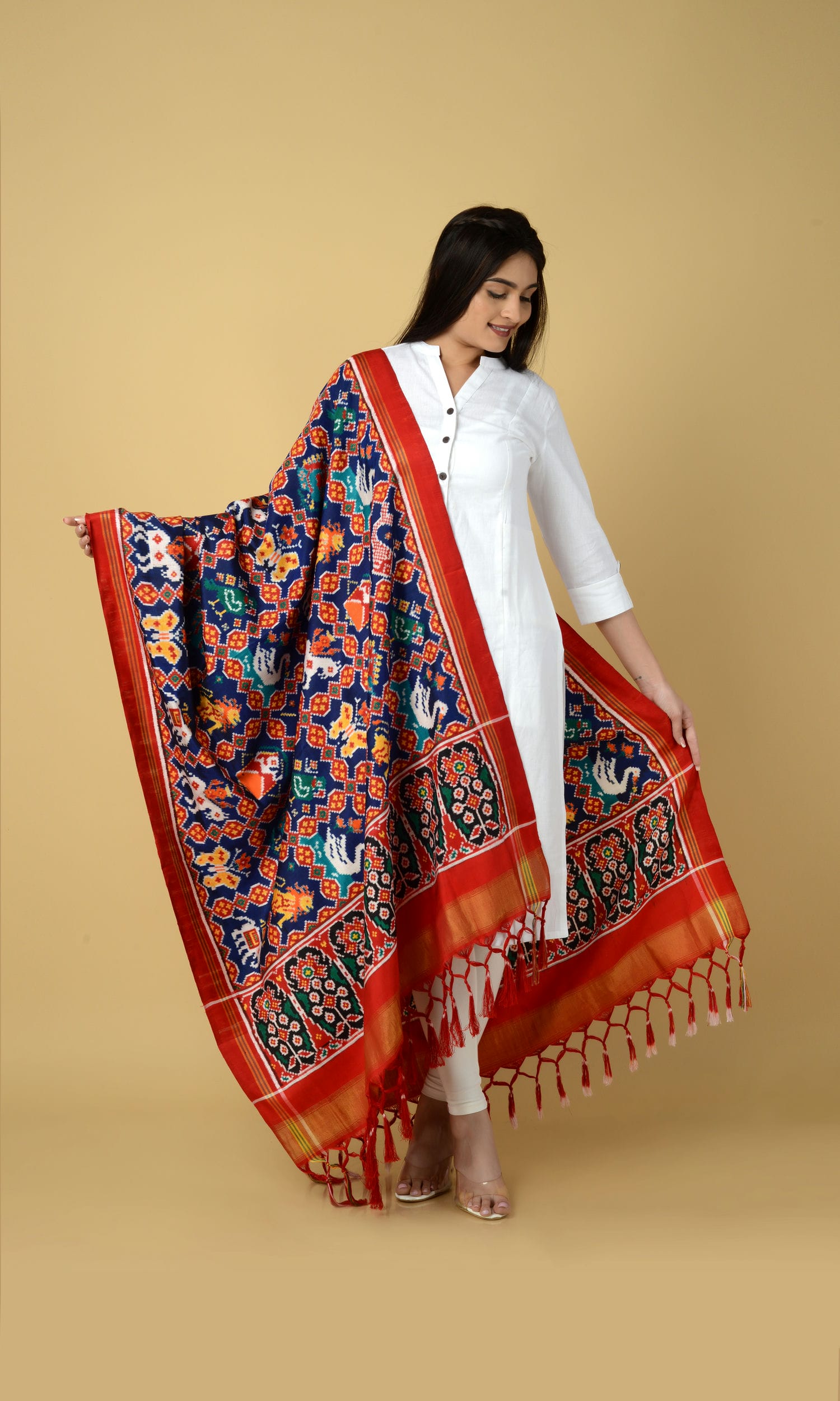 Double Ikat Patola 9 Motif Dupatta
