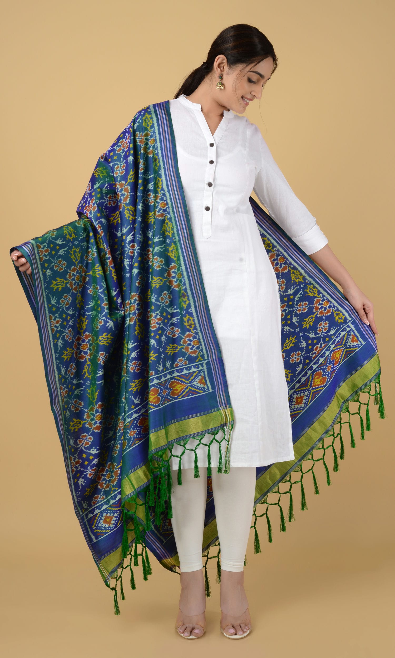 Single Ikat Patola Dupatta Chhabdi
