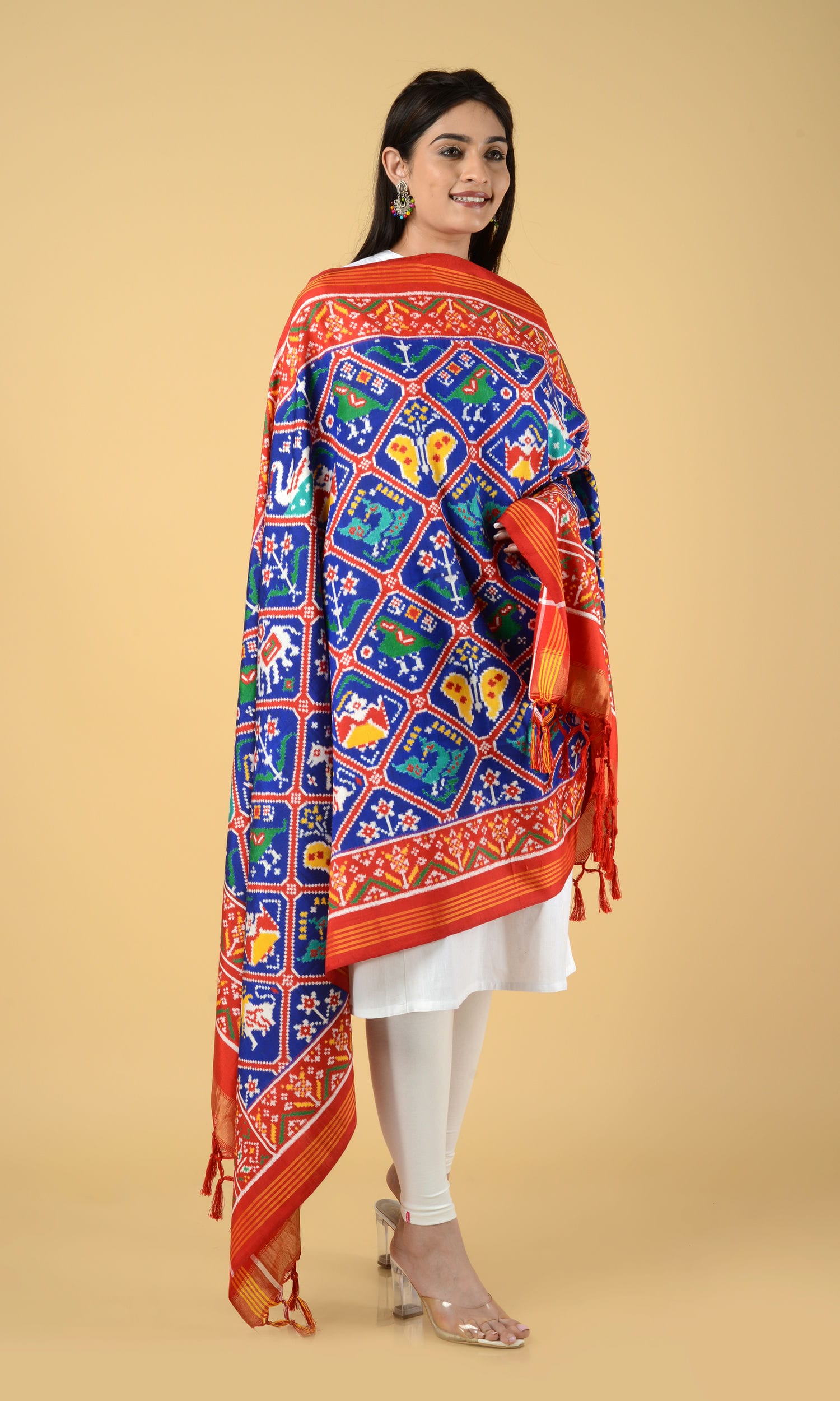 Double Ikat Patola Dupatta 9 Motifs
