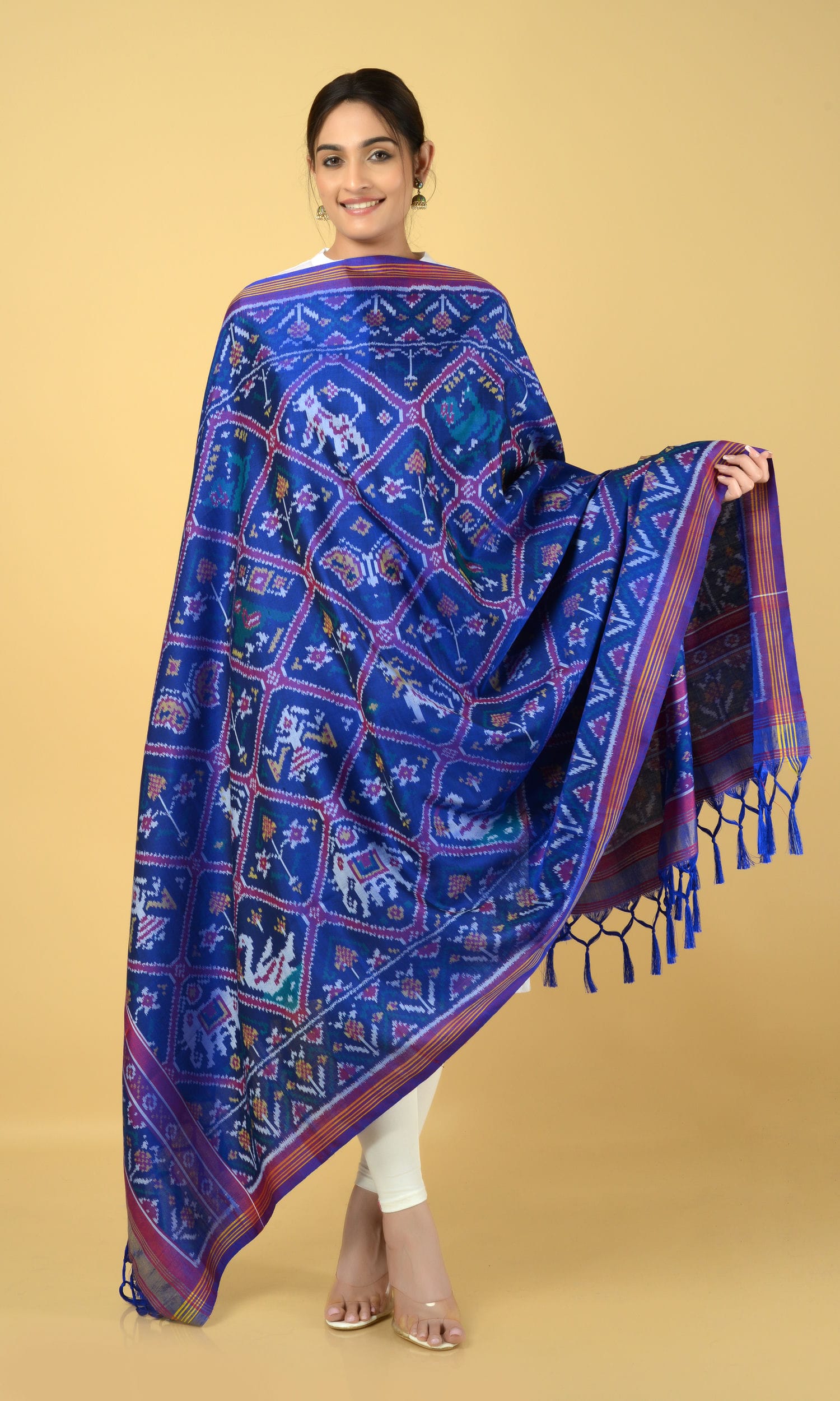 Single Ikat Patola Dupatta 9 Motifs