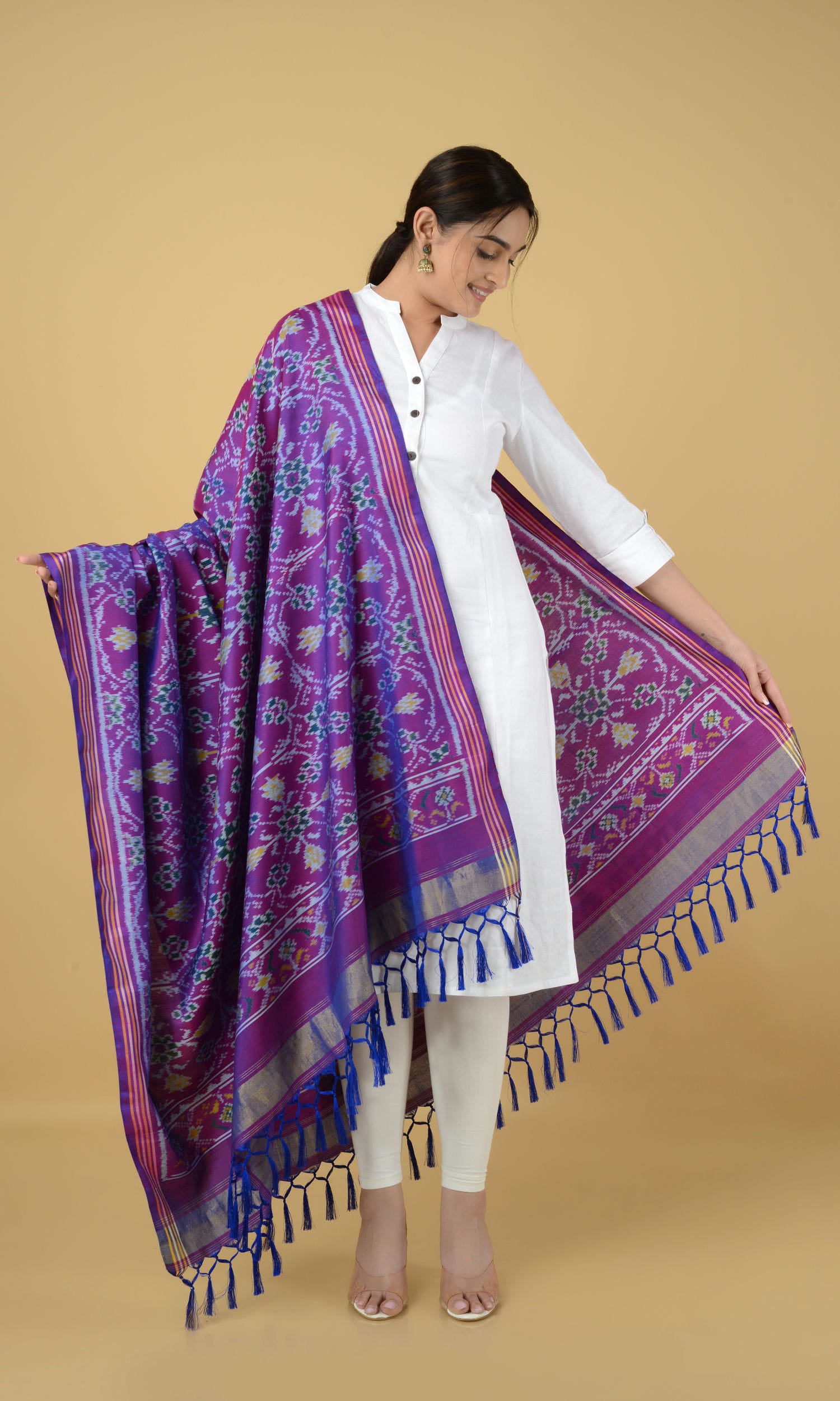 Single Ikat Patola Dupatta Chhabdi