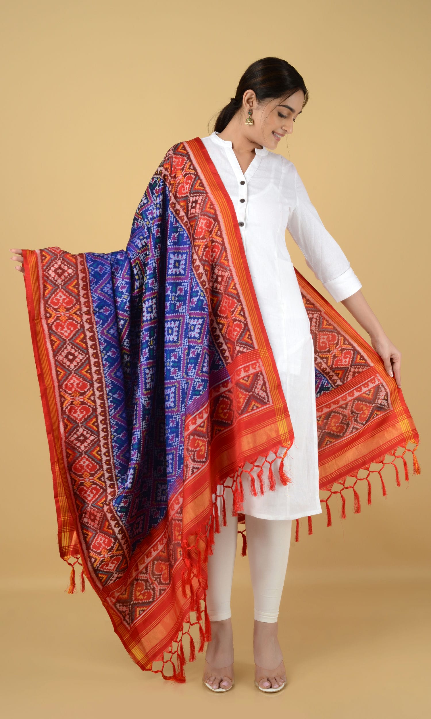 Single Ikat Patola Dupatta Chanda