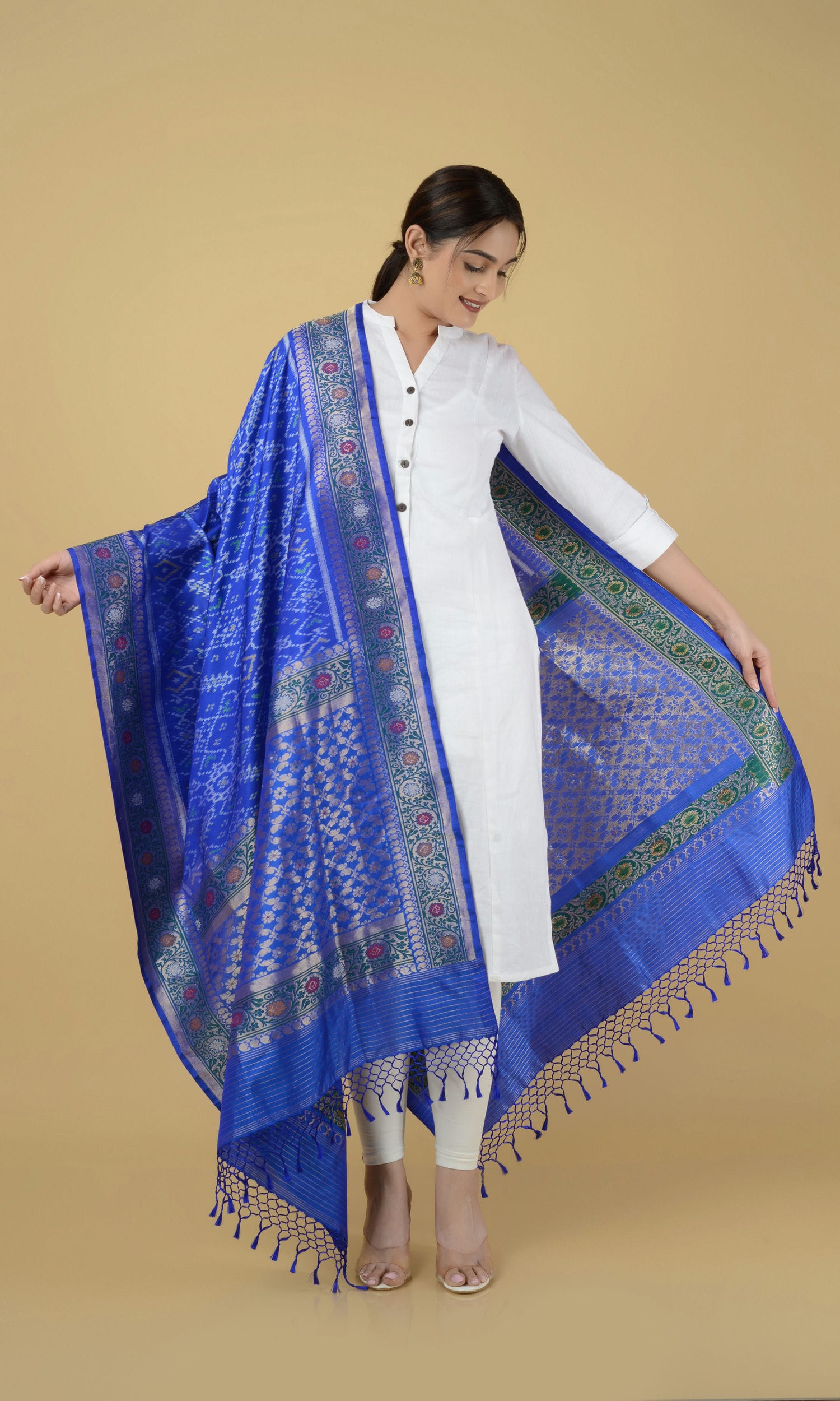 Banarasi Single Ikat Patola Dupatta Manekchowk