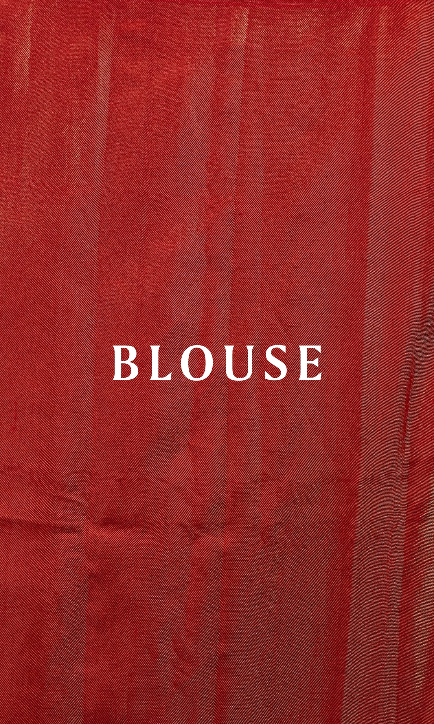 Tissue Twill Weave Patola Saree