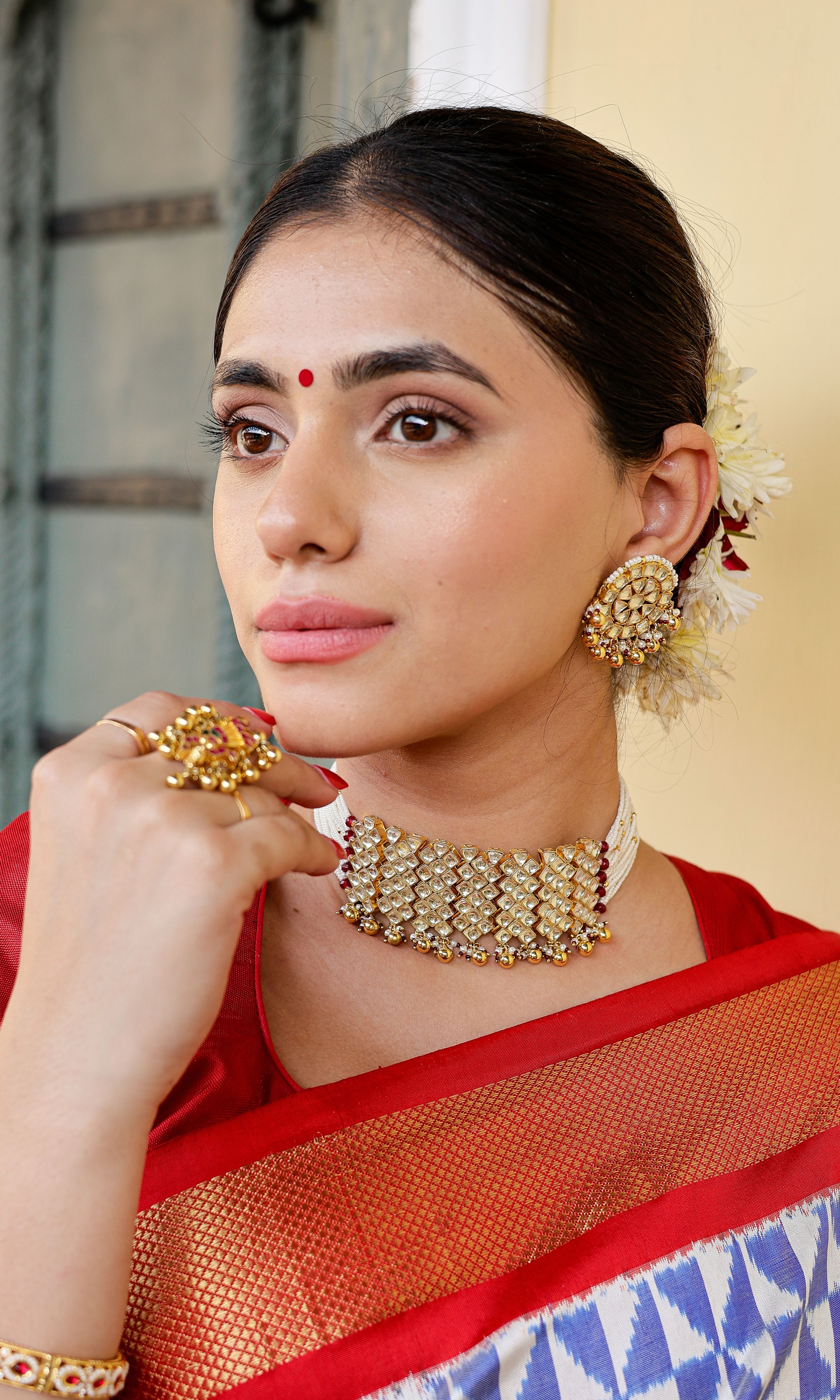 Pochampally Ikat Patola Saree